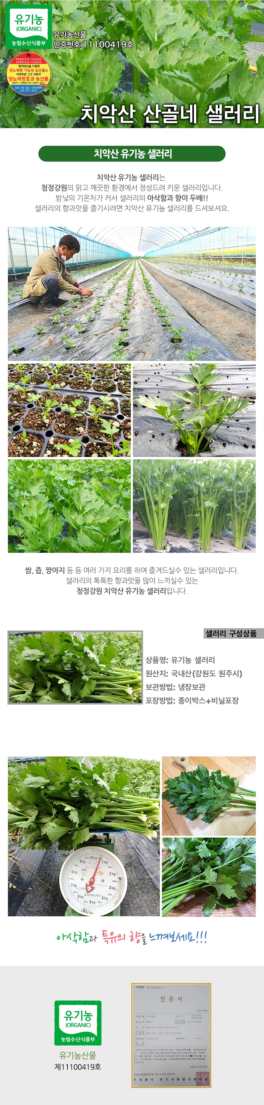 산골네 산골아낙네의 맛있는 밥상 유기농 채소 야채 과일 치악산 산골네 신선초 케일 궁채 깐더덕 산양산삼 샐러리 상추 쌈방울양배추잎 더덕 찰옥수수 블루베리 미흑찰 호박고구마 절임배추 꼬마사과 수미감자 삼잎국화 취나물 곤드레