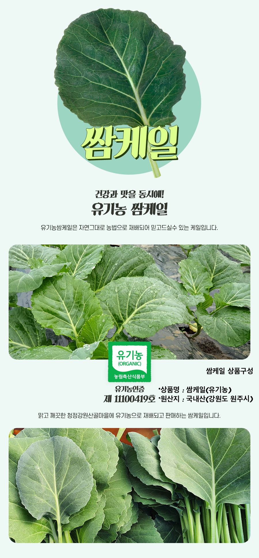 산골네 산골아낙네의 맛있는 밥상 유기농 채소 야채 과일 치악산 산골네 신선초 케일 궁채 깐더덕 산양산삼 샐러리 상추 쌈방울양배추잎 더덕 찰옥수수 블루베리 미흑찰 호박고구마 절임배추 꼬마사과 수미감자 삼잎국화 취나물 곤드레