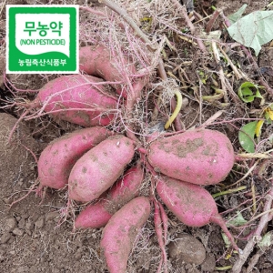 산골네 산골네먹거리