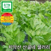 치악산산골네 유기농샐러리(녹즙용) 2kg